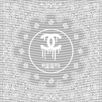 Brand Catalog-ZX 257